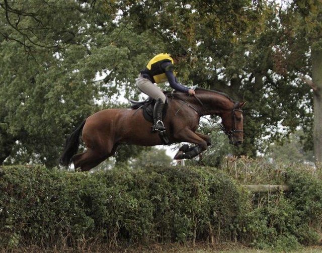 Fun Allrounder - Church Stretton, Shropshire